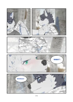 Page 209