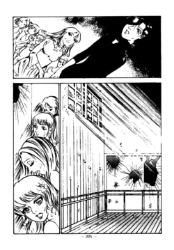 Page 213