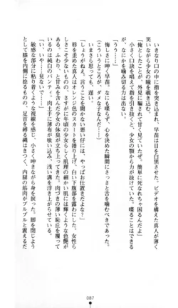Page 88