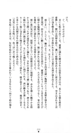Page 211