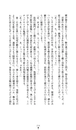 Page 215