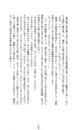 Page 228