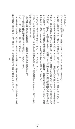 Page 243