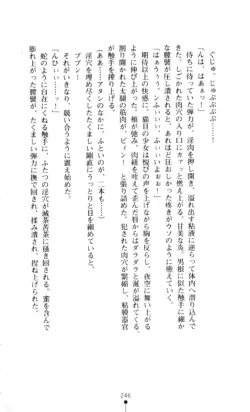 Page 247
