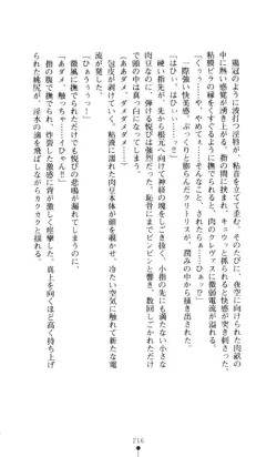 Page 217