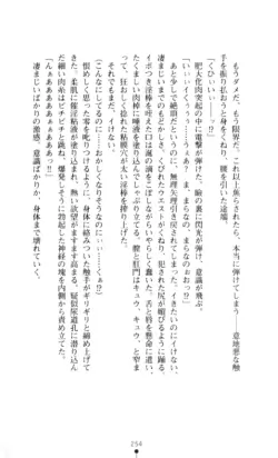 Page 255