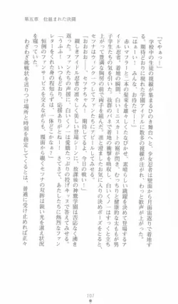 Page 107
