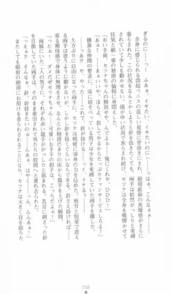 Page 258