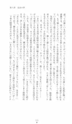 Page 245