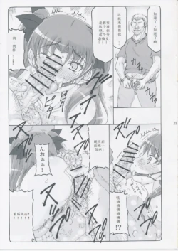 Page 333