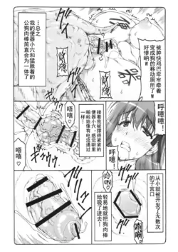 Page 385