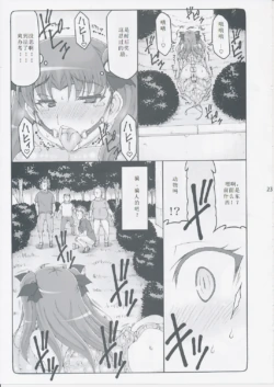 Page 331