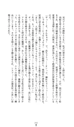 Page 243