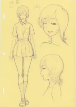 Page 43