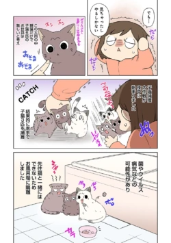 Page 300