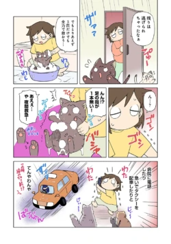 Page 301