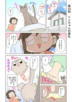 Page 251