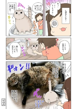 Page 254