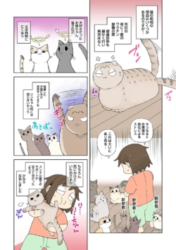 Page 252