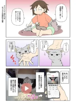 Page 349