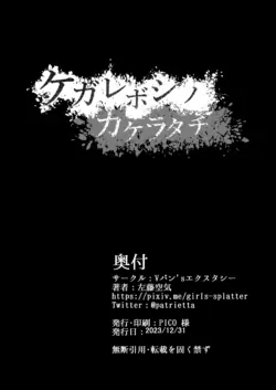 Page 261