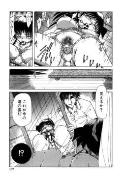 Page 109