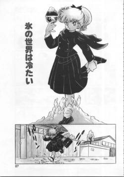 Page 87