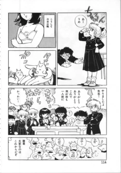 Page 114