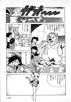 Page 113
