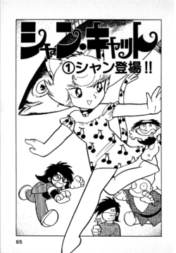 Page 85