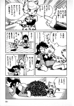 Page 91