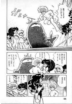 Page 66