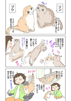 Page 321