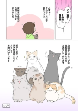 Page 323