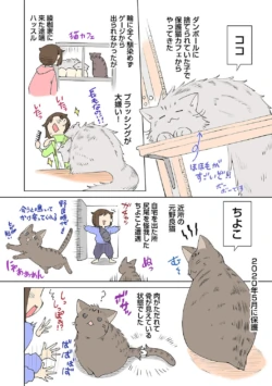Page 322