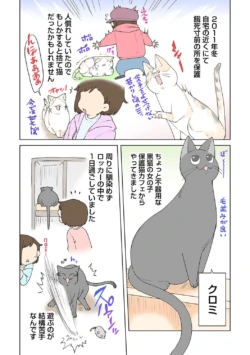 Page 320