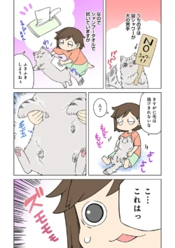 Page 309