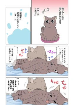 Page 258