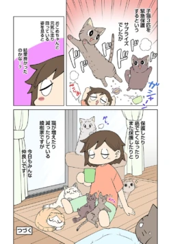 Page 259