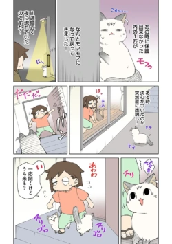 Page 239