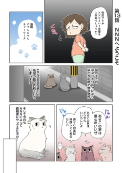 Page 237