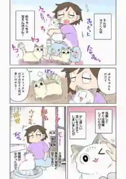 Page 225