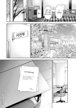 Page 383