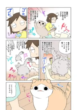 Page 246