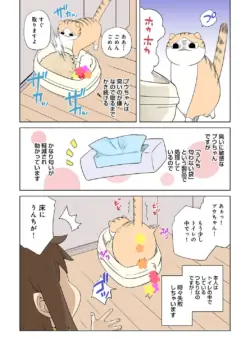 Page 247