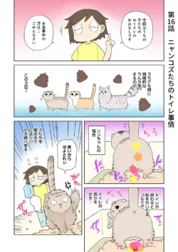 Page 245