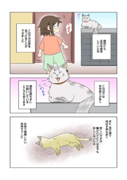 Page 295