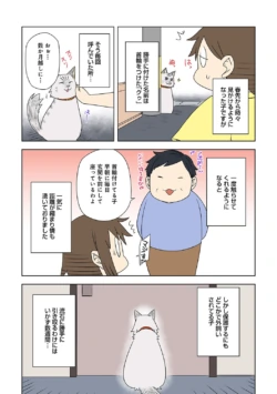 Page 294