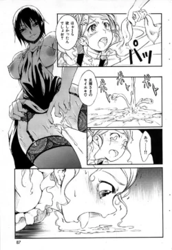 Page 87