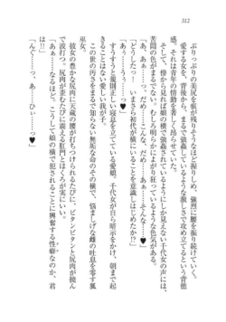 Page 312
